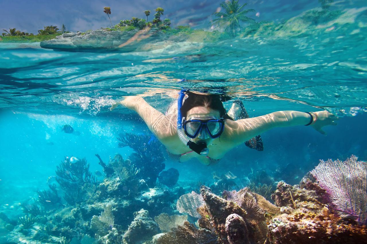 فندق Maldivesفي  Ocean Beach Maldive المظهر الخارجي الصورة