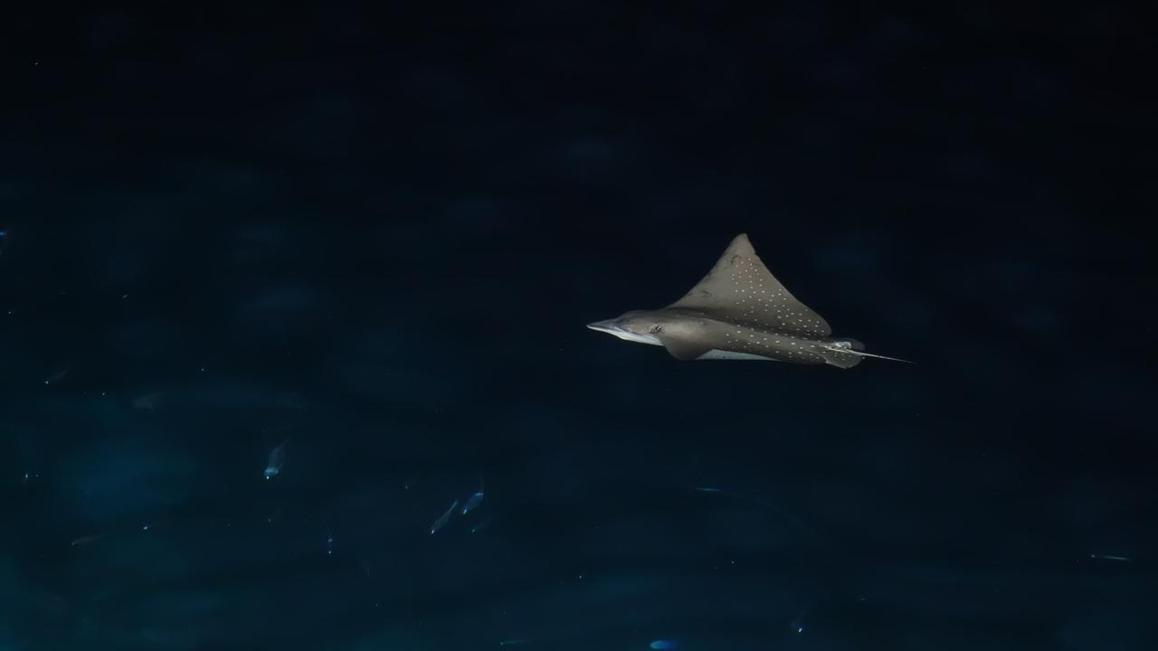 فندق Maldivesفي  Ocean Beach Maldive المظهر الخارجي الصورة